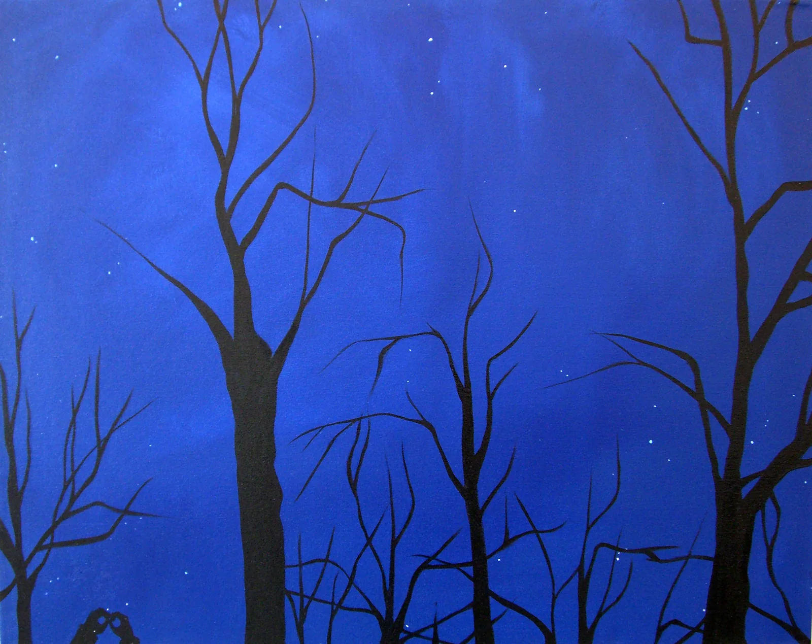 Starry Sky, 2010, by Somalee Banerjee
